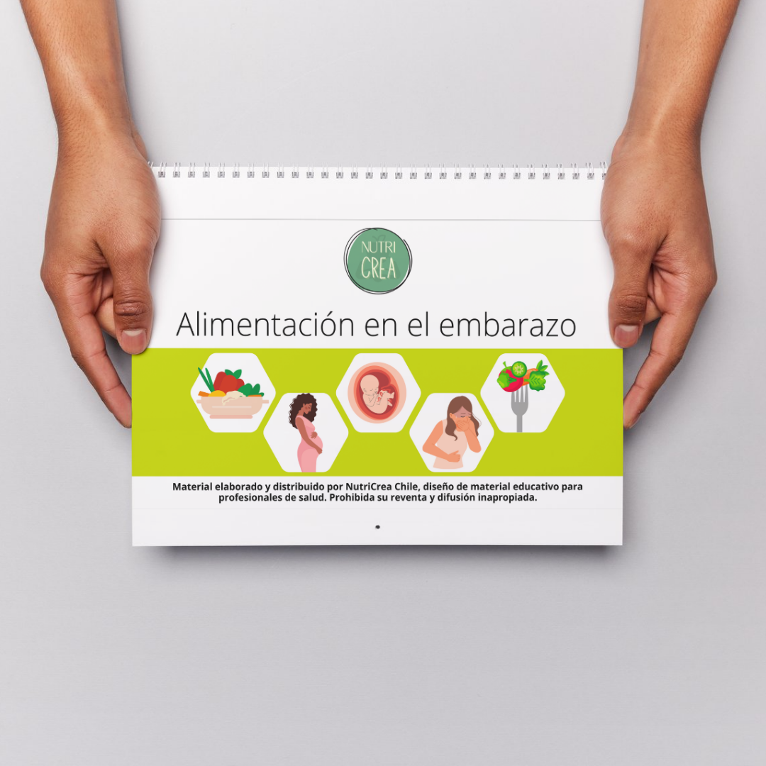 Cuadernillo Alimentación en el embarazo