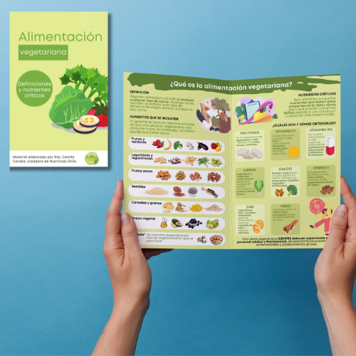 Díptico PDF Alimentación vegetaria