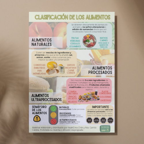Infografía PNG Clasificación de los alimentos