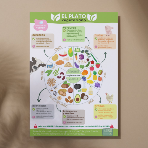 Infografía PNG El plato vegetariano