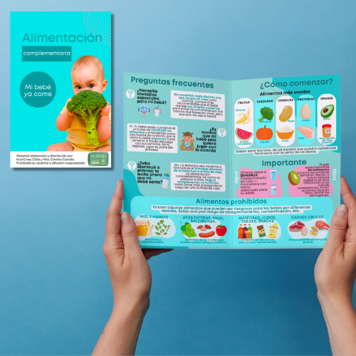 Díptico PDF Alimentación complementaria