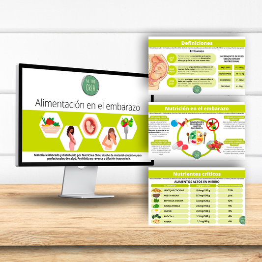 PDF Alimentación en el embarazo