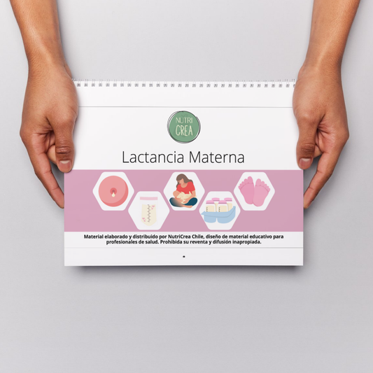 Cuadernillo Lactancia Materna